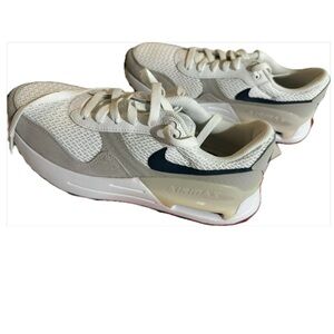 Nike Air Max System in White and Gray